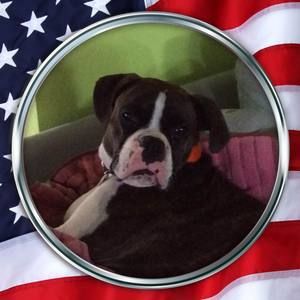 Meet your Posher, Lee